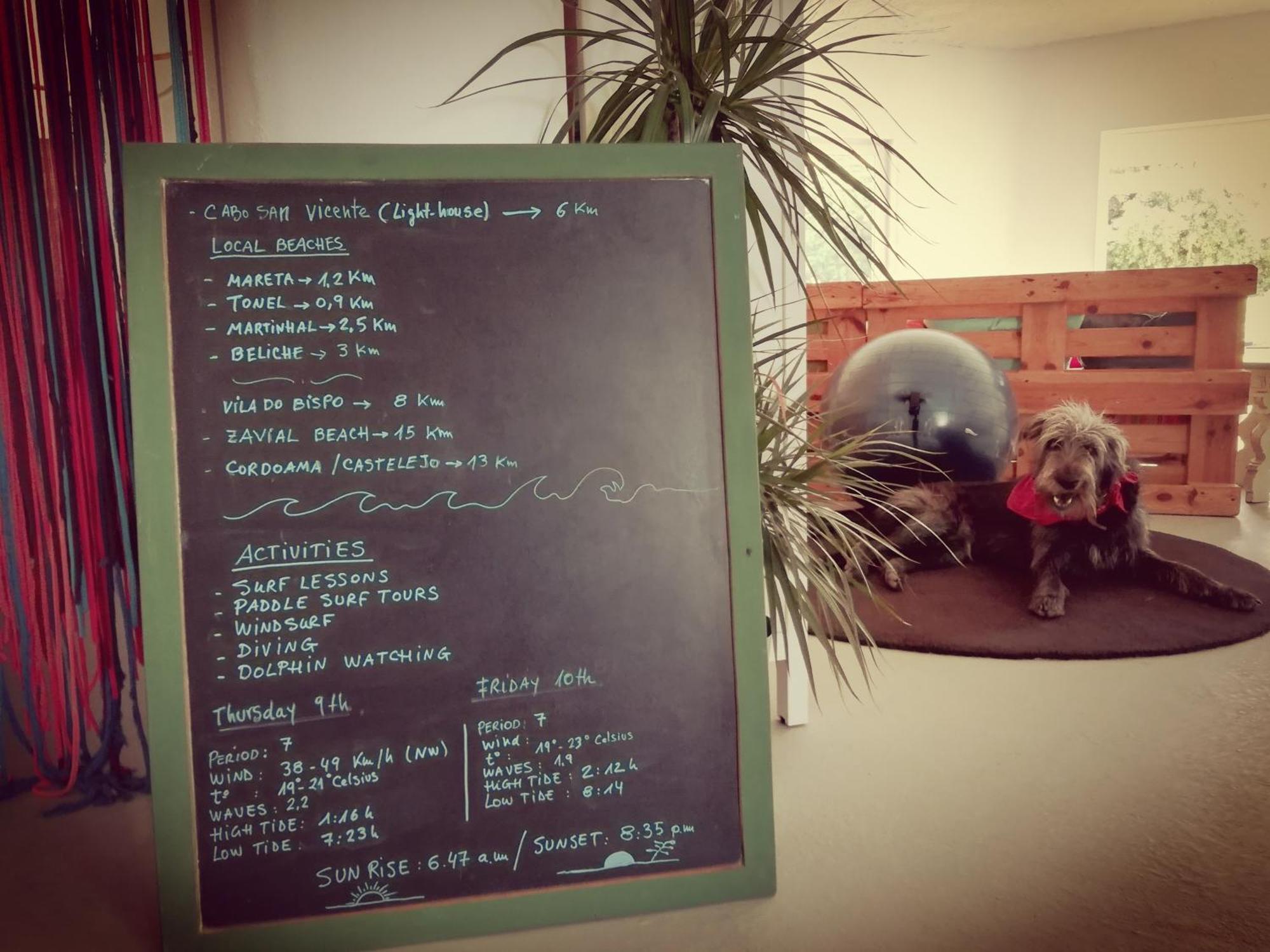 Blacksheep Sagres Guesthouse & Surf Экстерьер фото